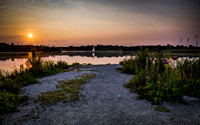 Lake Cunningham Sunrise