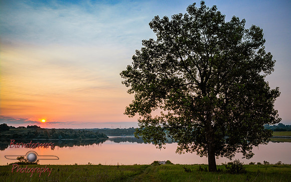 Cottonwood Sunrise