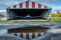Piper Warrior