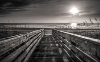 Dormant Beach (Black & White)