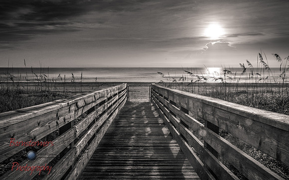 Dormant Beach (Black & White)